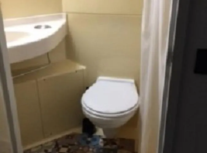 F1 Strasbourg Sud La Vigie *